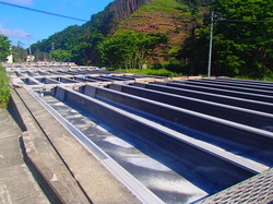 http://www.eiwa-heartmake.com/assets_c/2014/09/P6130037-thumb-250x187-16302-thumb-250x187-16303.jpg