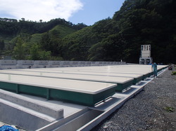 P8231808.JPGのサムネール画像のサムネール画像